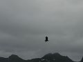 Nordkap 2009 411